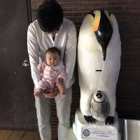 フォトギャラリー