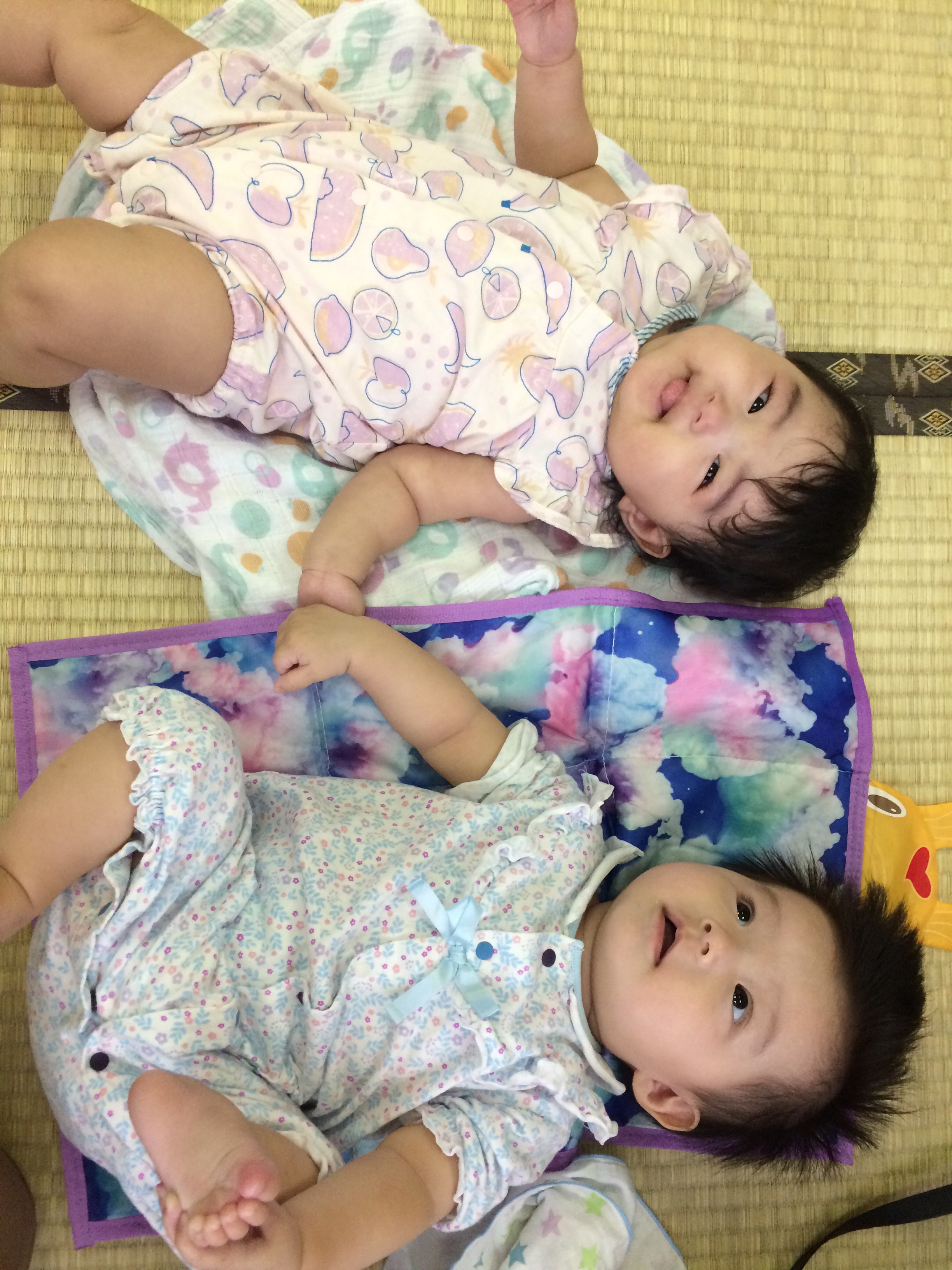 投稿写真