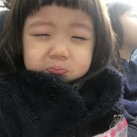 フォトギャラリー
