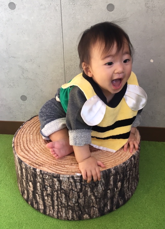 投稿写真