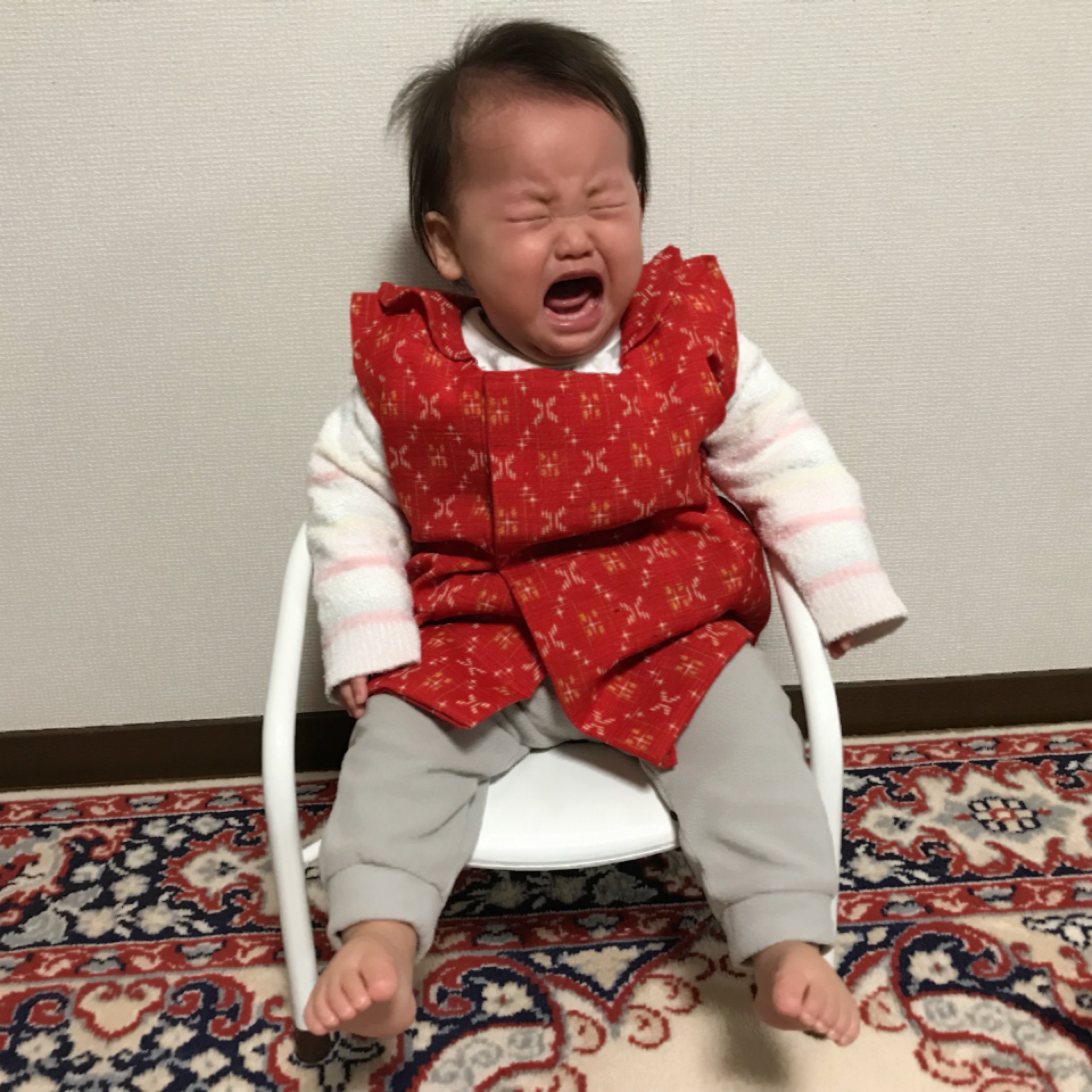 投稿写真