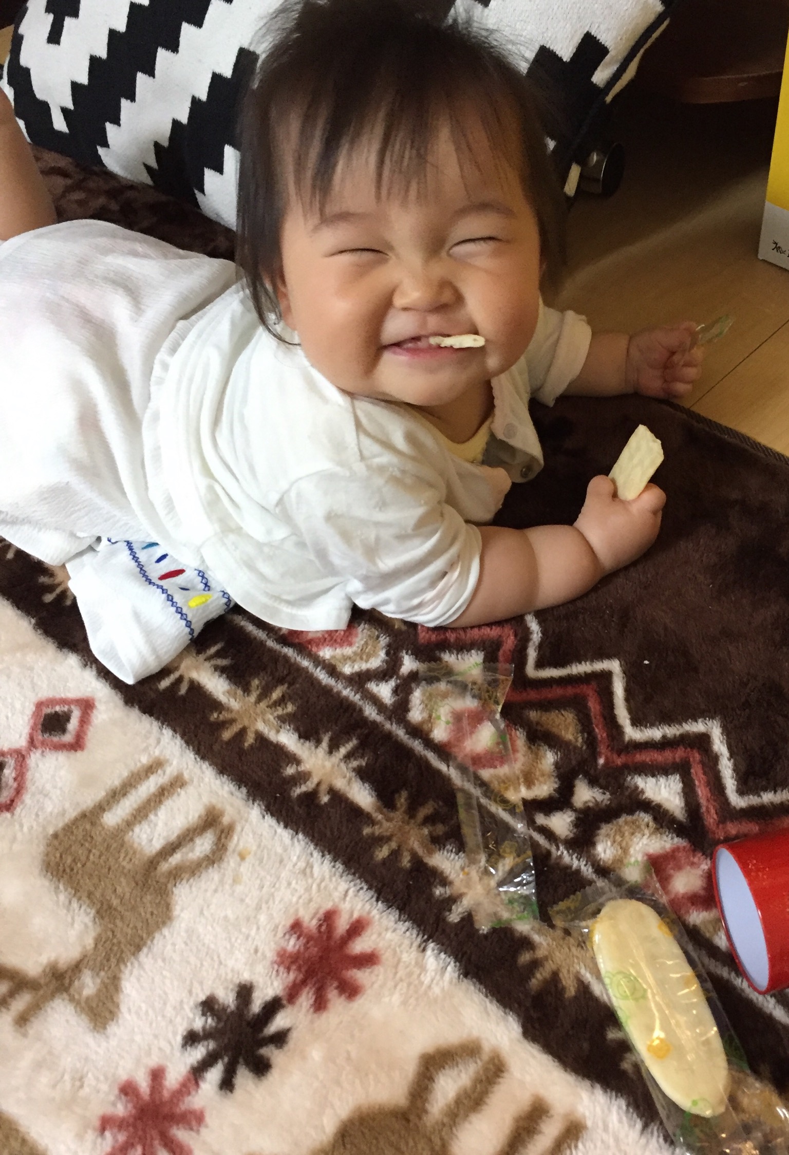 投稿写真