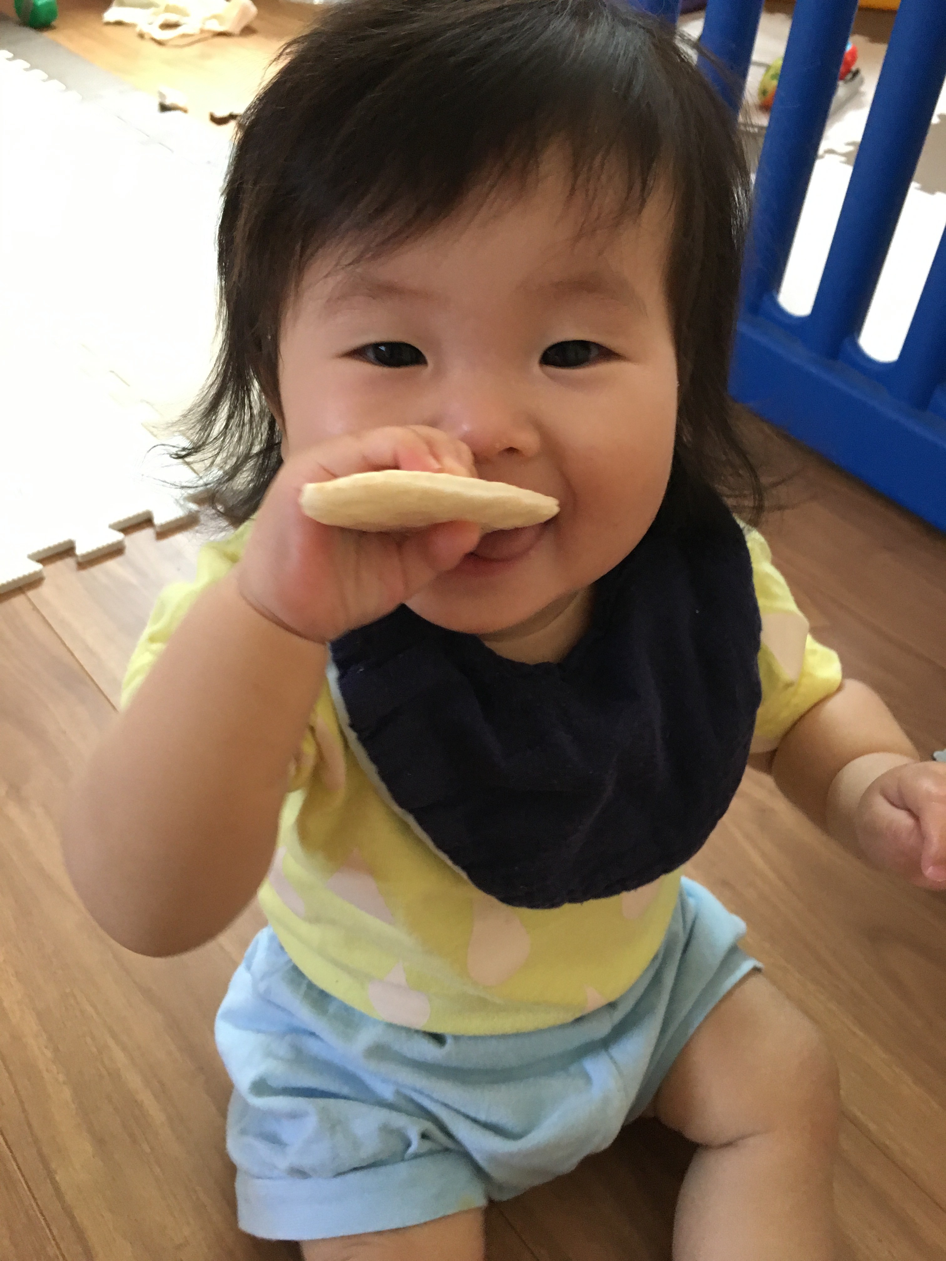 投稿写真