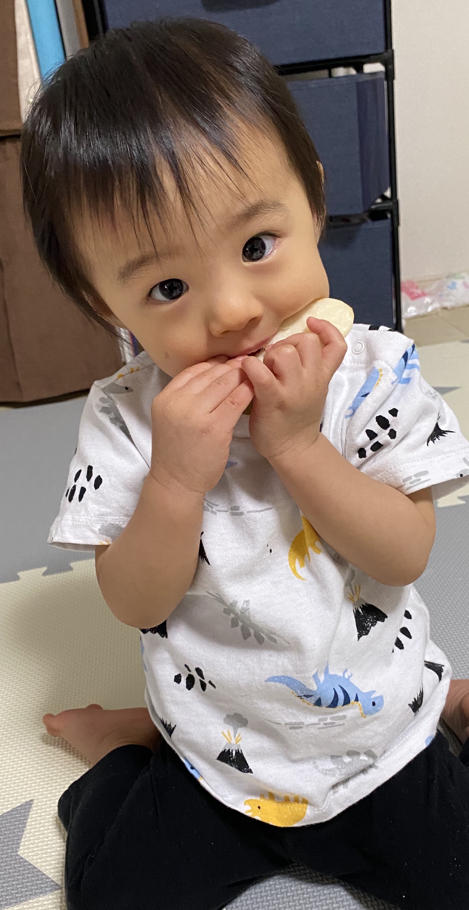 投稿写真