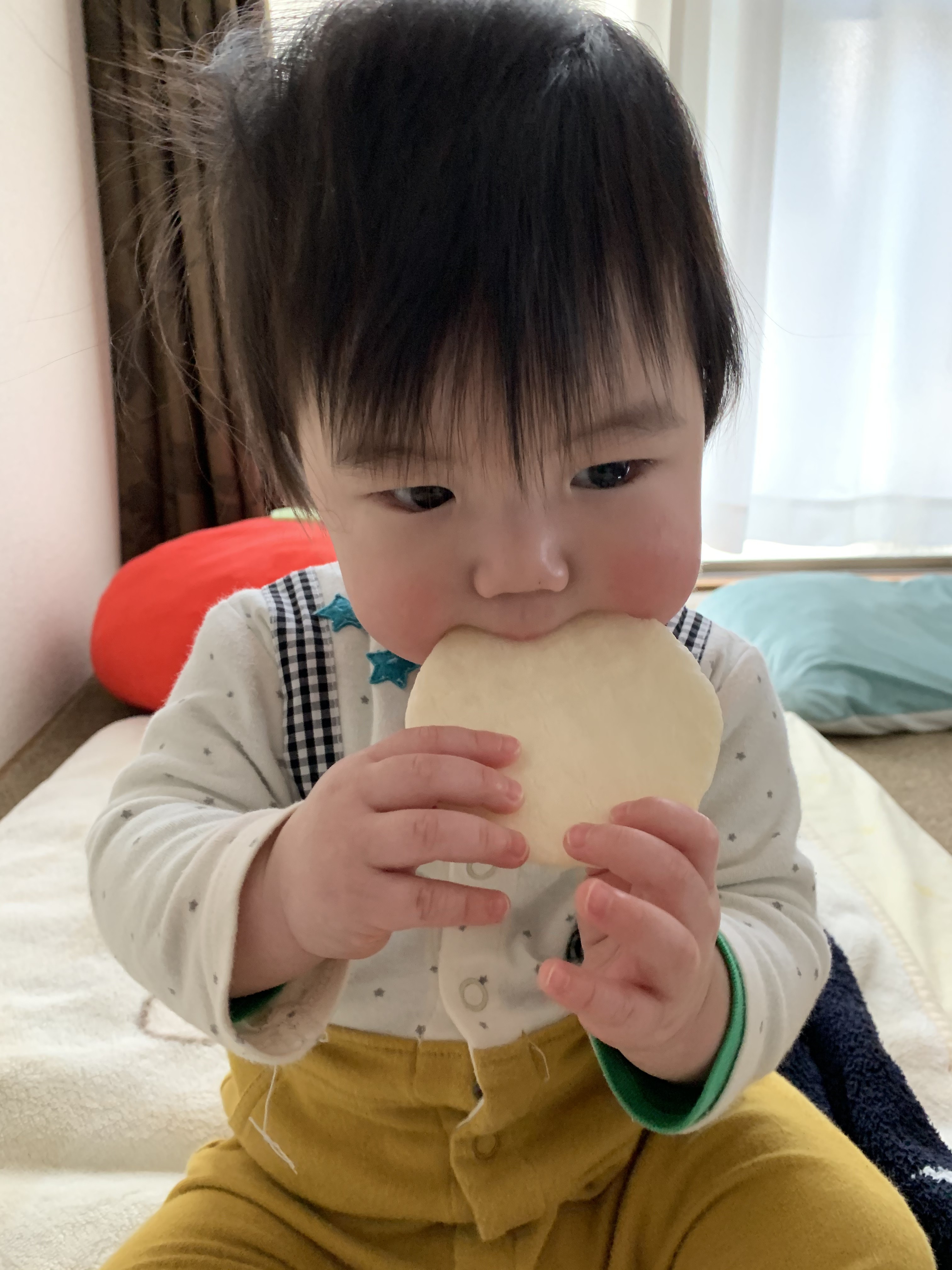 投稿写真