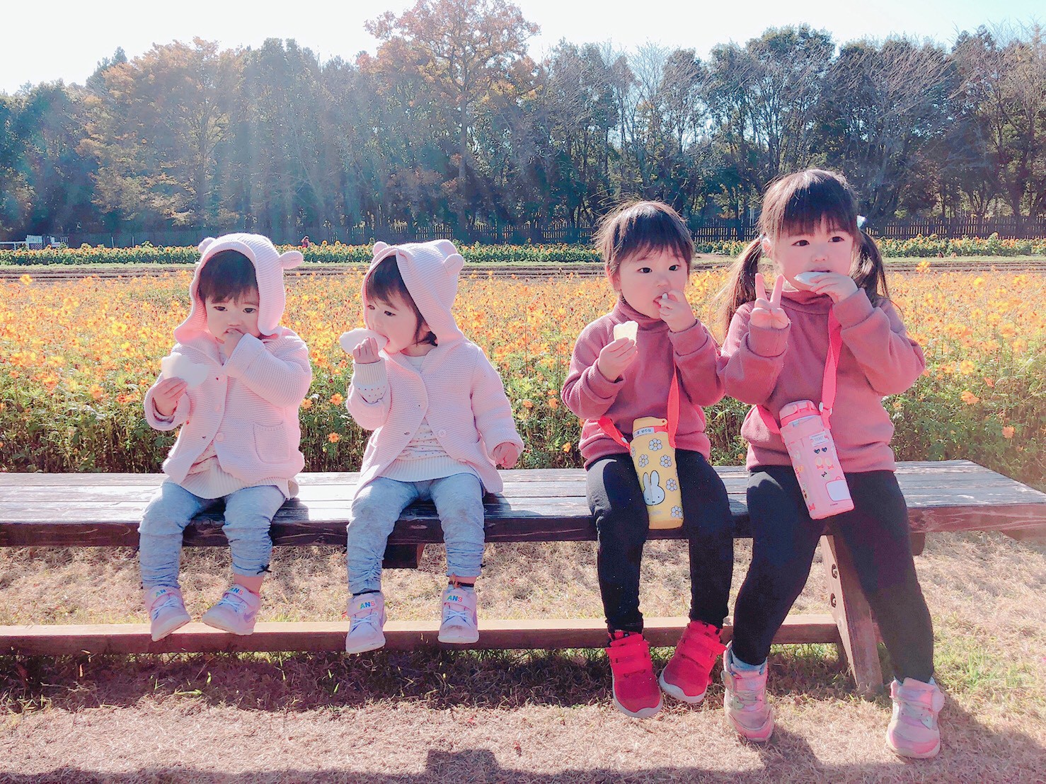 投稿写真