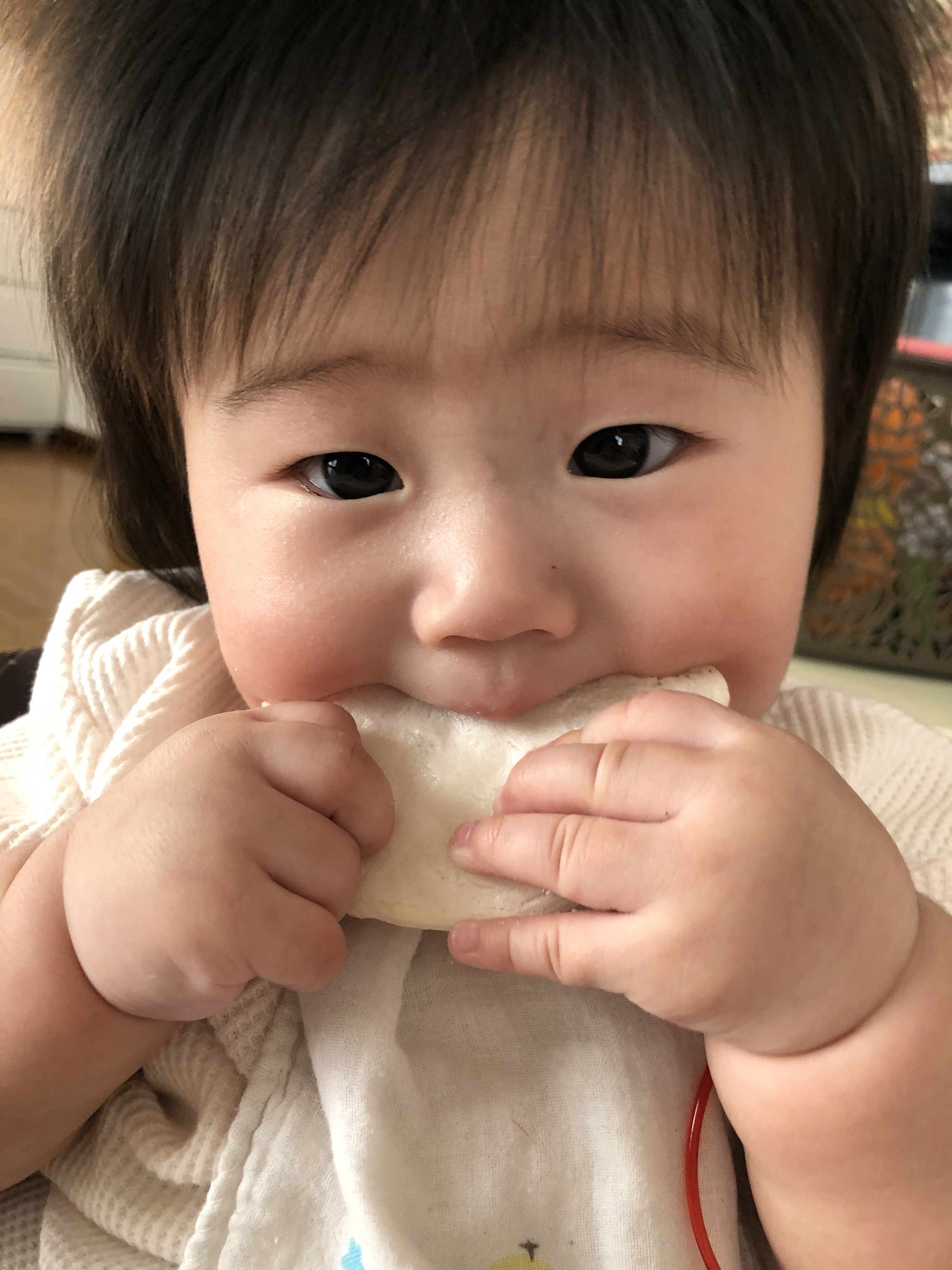 投稿写真