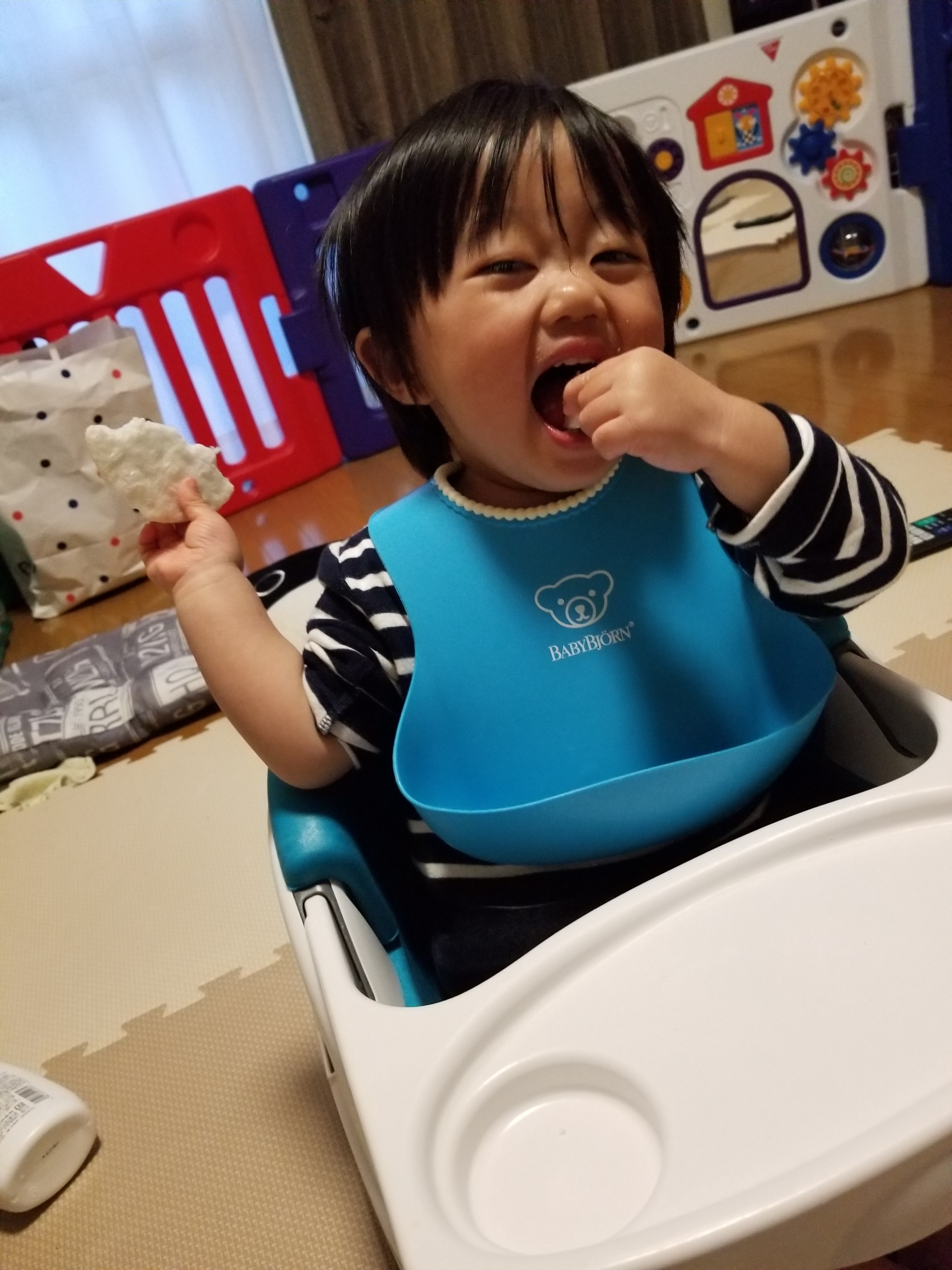 投稿写真