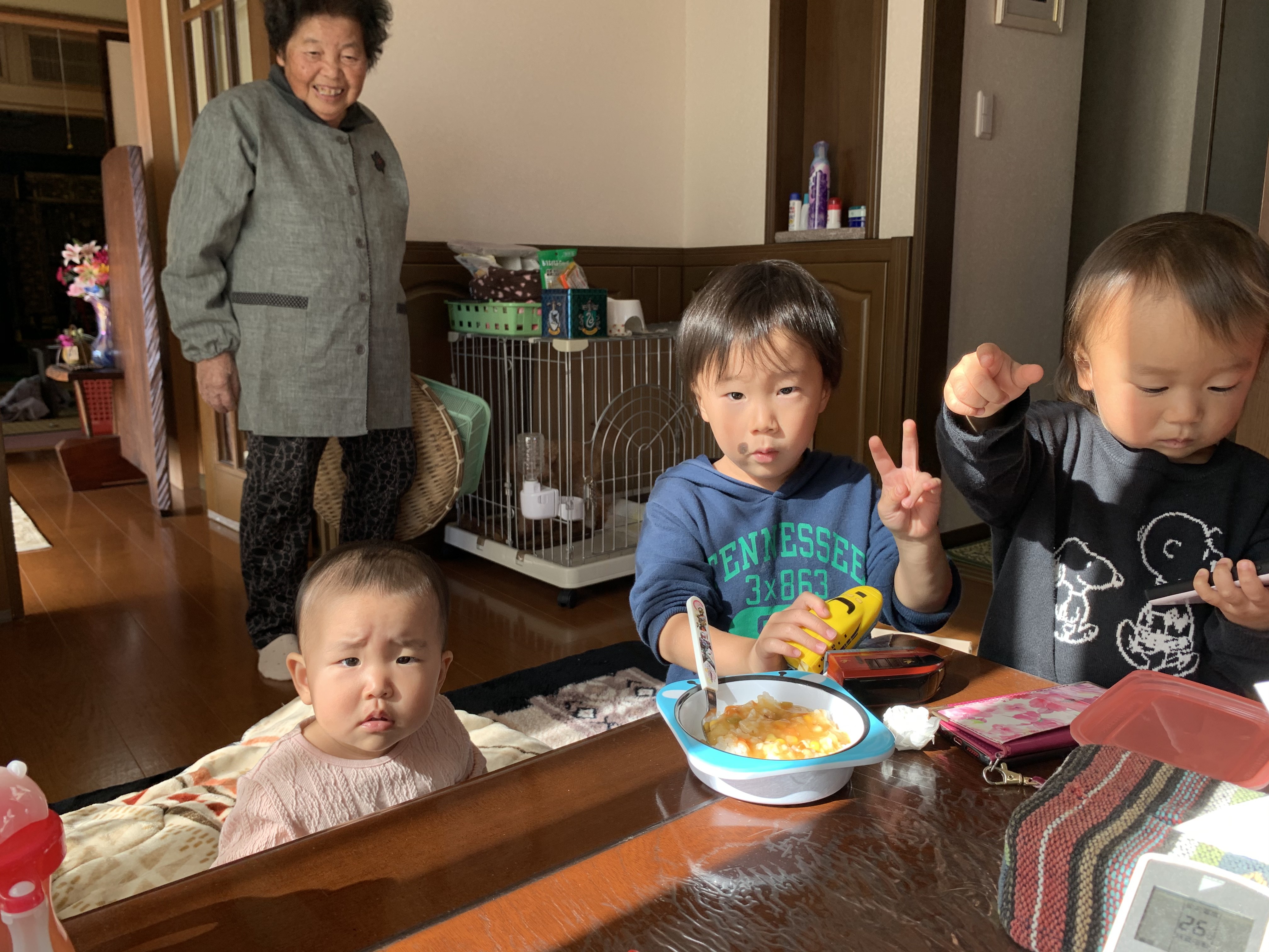 投稿写真
