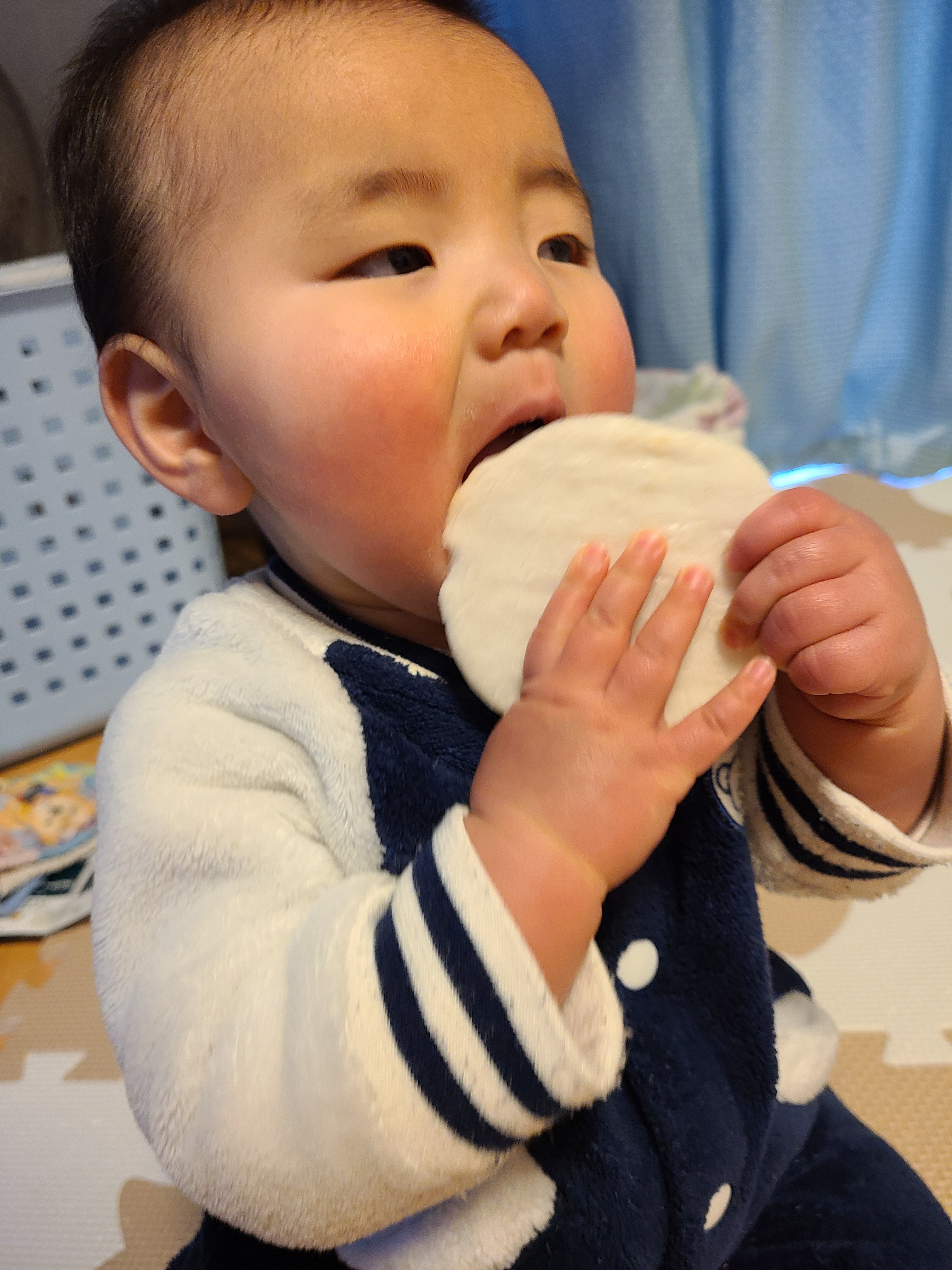 投稿写真
