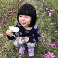 フォトギャラリー