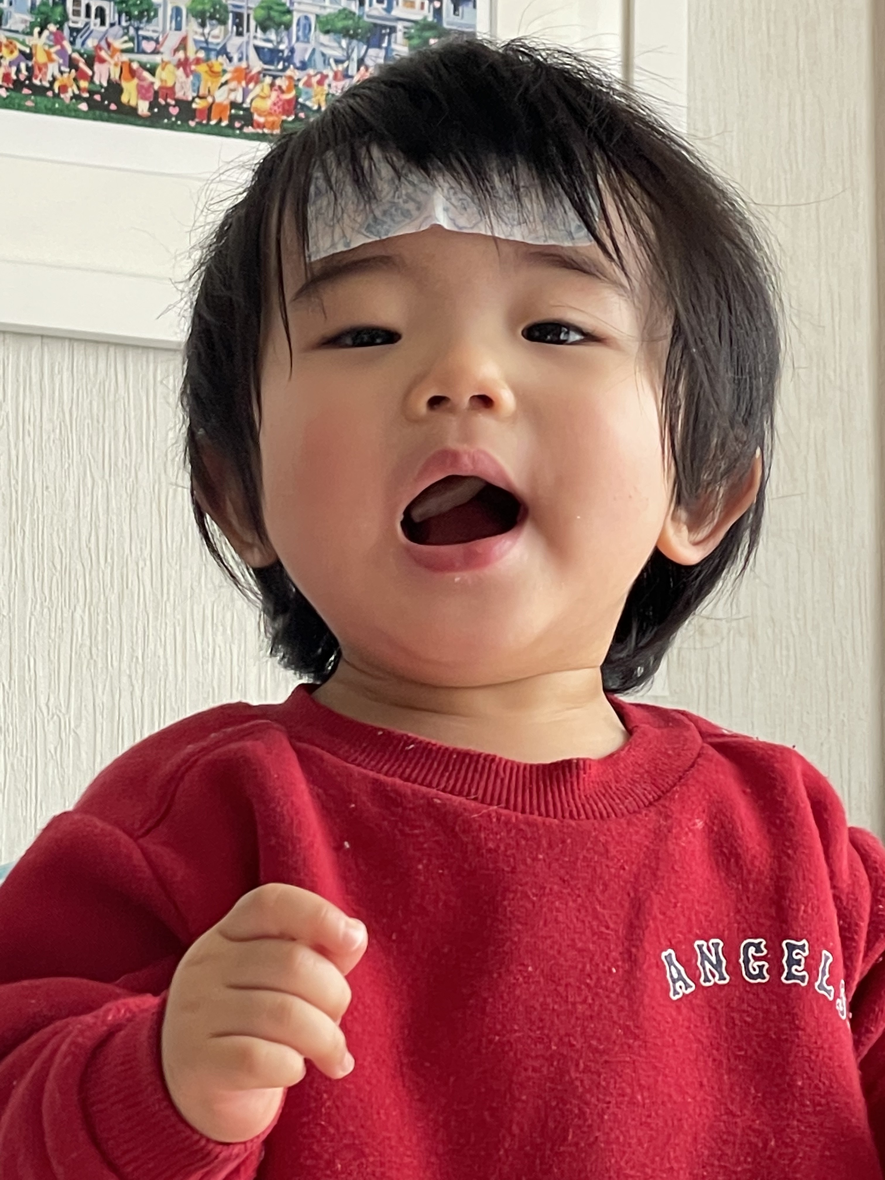 投稿写真