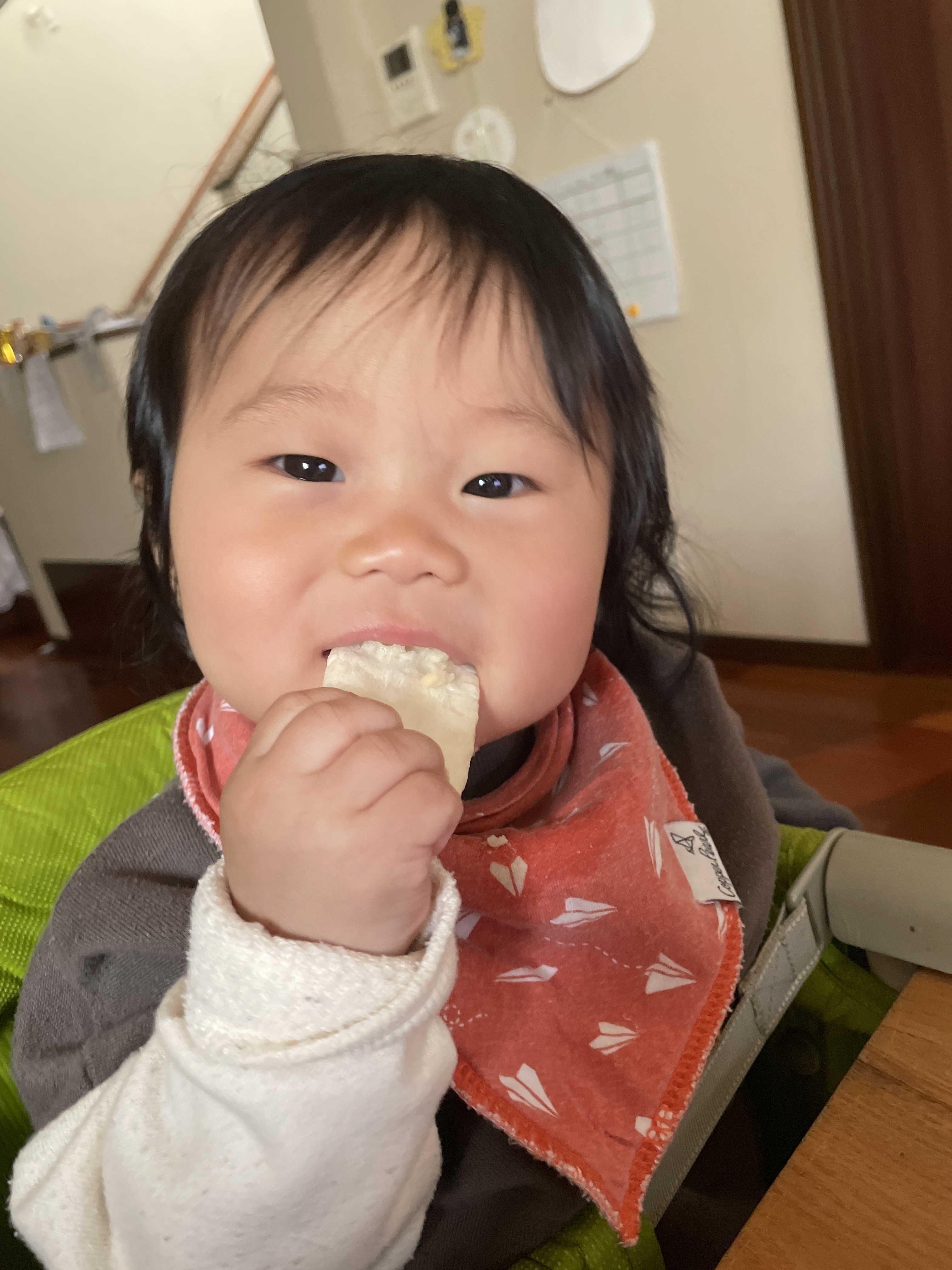 投稿写真