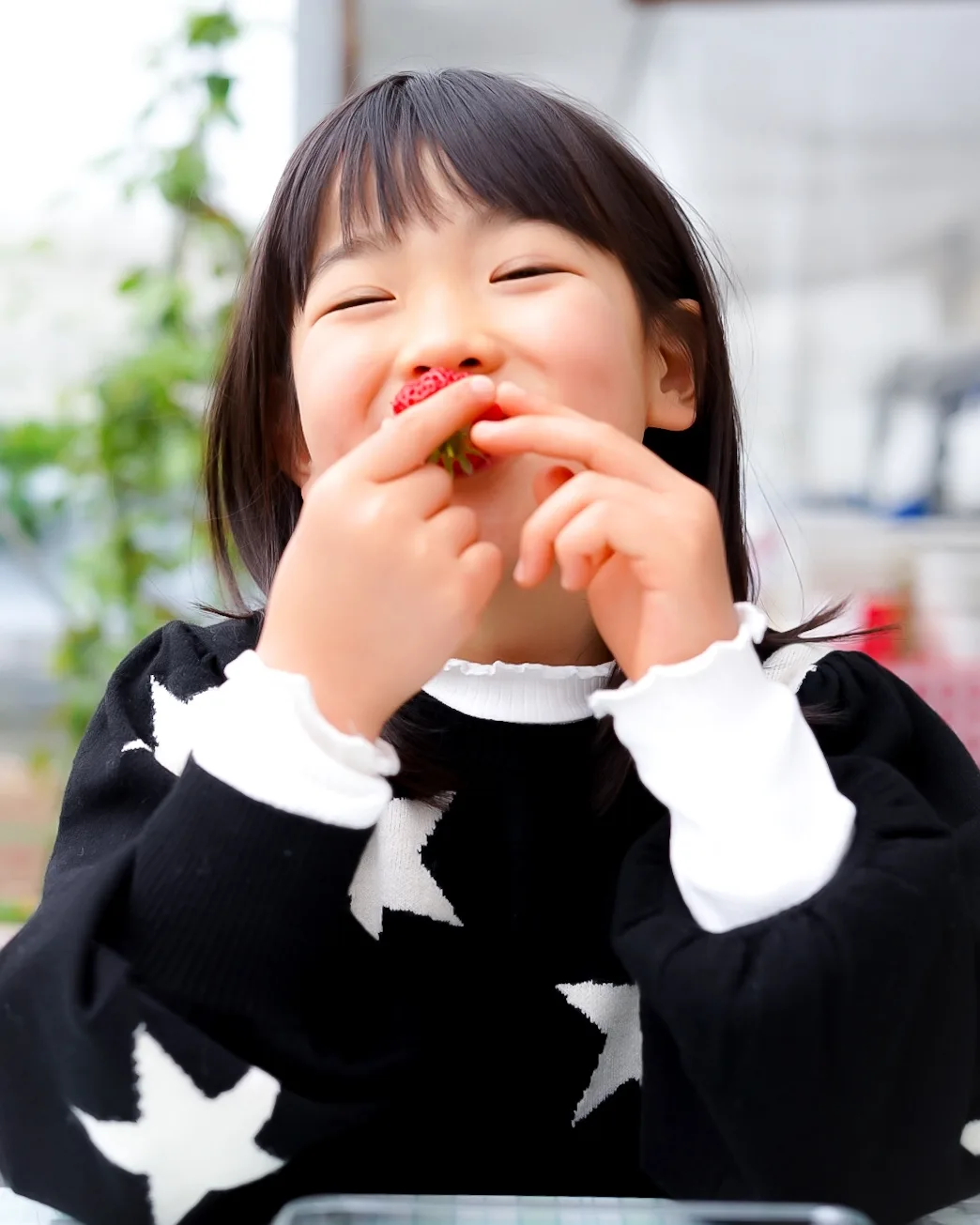 投稿写真