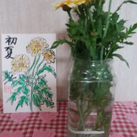 投稿写真