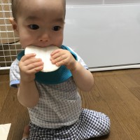 フォトギャラリー