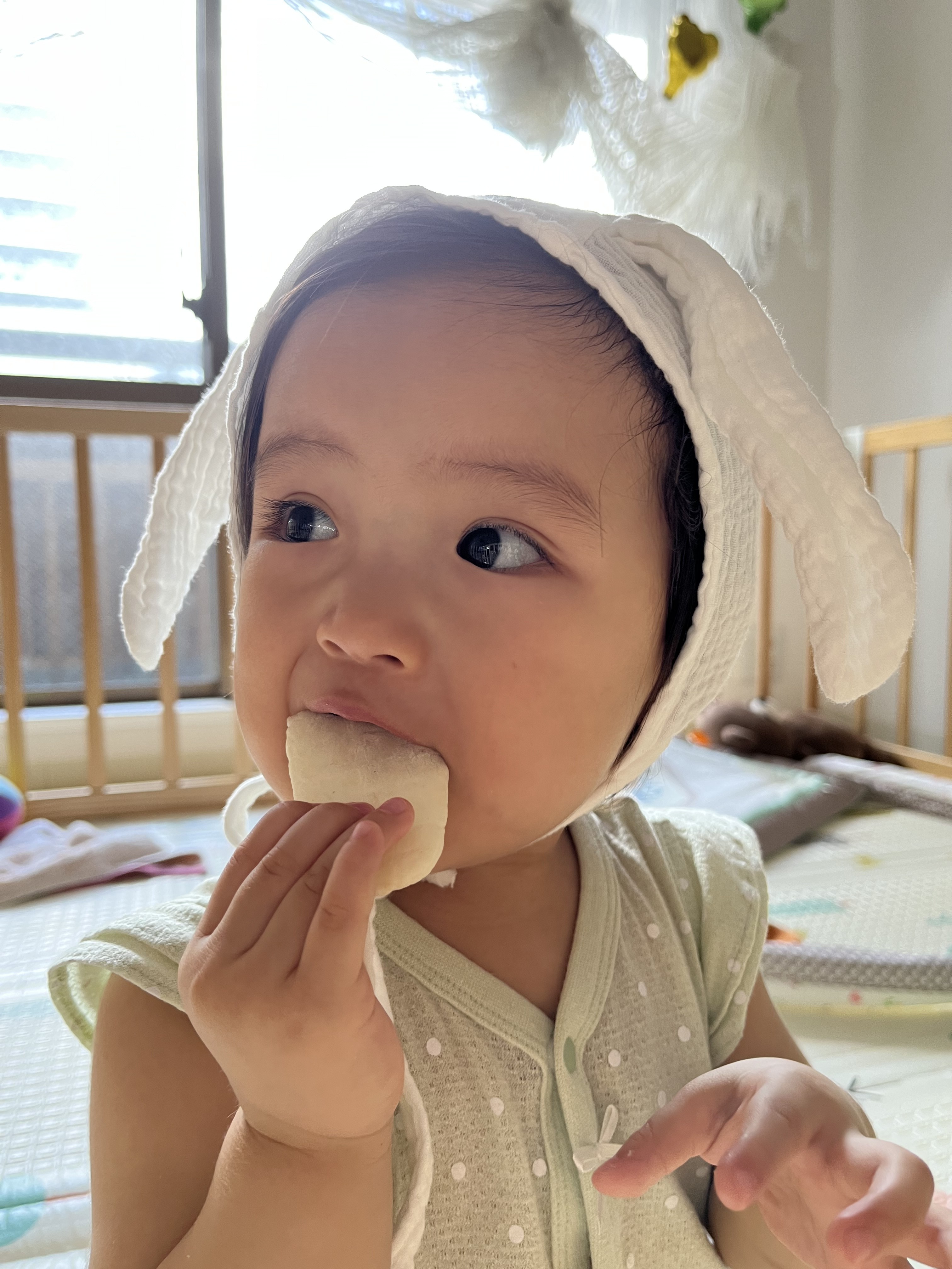 投稿写真