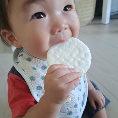 投稿写真