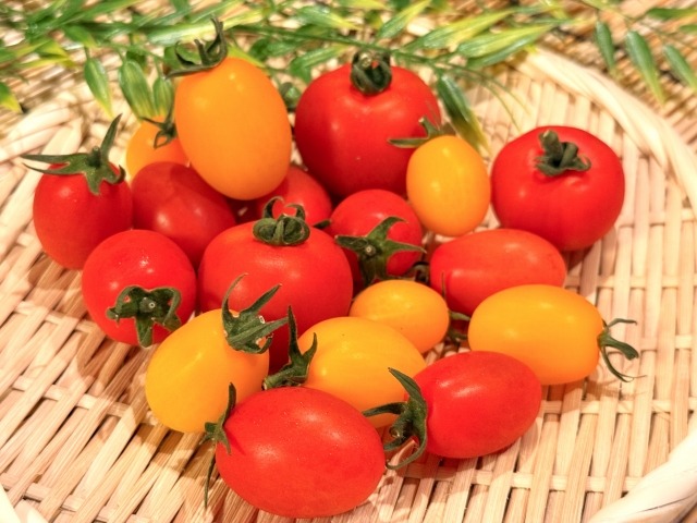 赤ちゃんにも旬の味わいを。離乳食期におすすめの夏の食材